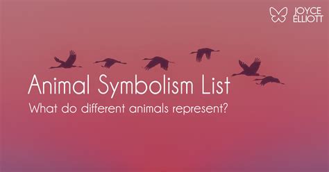 What Animal Represents Loneliness: A Journey Through Symbolism and Interpretation